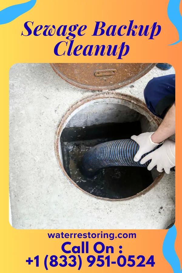 Sewage Backup Cleanup in Exeter, IL