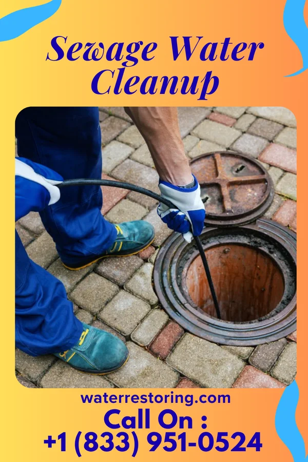 Sewage Water Cleanup in Exeter, IL